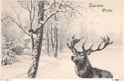 Heureuse Année  (paysage de nege avec un cerf observant un écureuil)