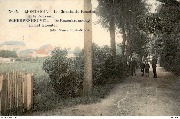 Montaigu. Le Chemin du Rosaire et le Couvent - Scherpenheuvel. De Rozenransweg en het Klooster