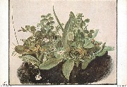 A. Dürer. Das kleine Rasenstück (Wien, Albertina)