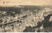 Dinant. Panorama pris de la Tour-Mont-Fort