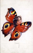Usabal Femme papillon Paon du jour