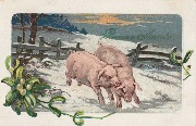 Bonne Année (deux cochons courent dans la neige)