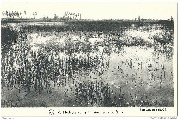 Hydrographie Marais près de Genk Foto Sergijsels(N.C.T.)