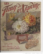 Les Fleurs de nos jardins étude de chrysanthèmes et giroflées Album n°2